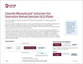 Screenshot of Lincoln MoneyGuard solutions for Executive Bonus (Section 162) Plans flyer