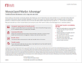 MoneyGuard Financial Professional Guide