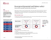 S&P 500 Daily Risk Control 10% Index flier