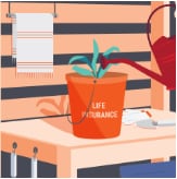 plant sits in pot that reads 
