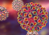 virus cells
