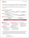 Lincoln Level Advantage indexed variable annuity B-Share PDF Image