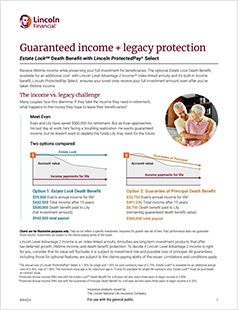 Estate Lock Flyer PDF Clickable Image