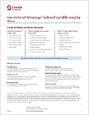 Lincoln Level Advantage Advisory B-Share Fact Sheet PDF Image