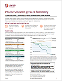 LLA2 NY 1-Year Performance Cap Flyer PDF Clickable Image