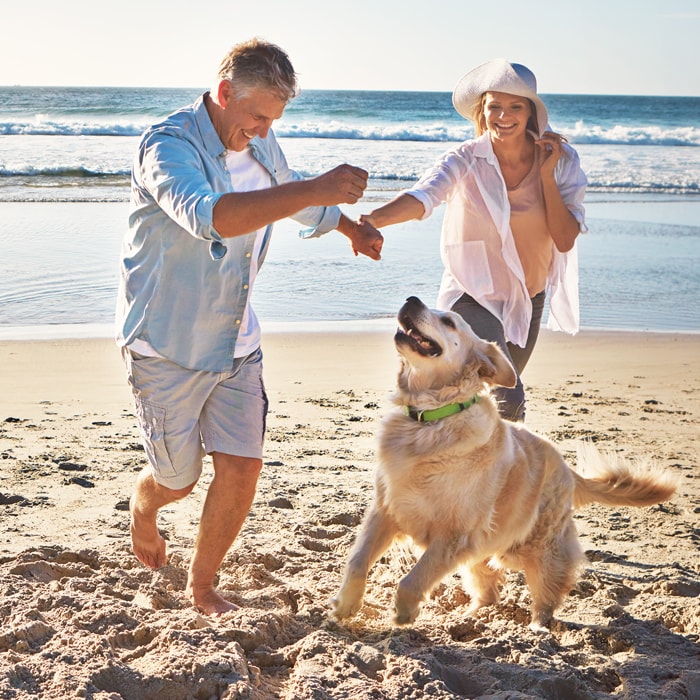 Couple hold hands and play with dog on beach