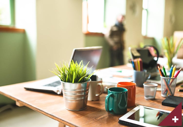 Desk with various mugs, office supplies, small plant, and laptop on it