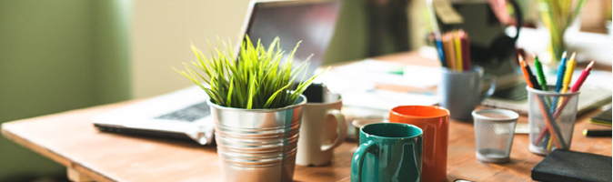 Desk with various mugs, office supplies, small plant, and laptop on it