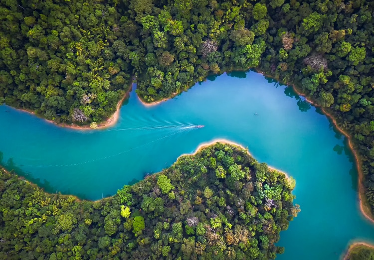 Overhead view of boat sailing down a river bordered by woods on either side