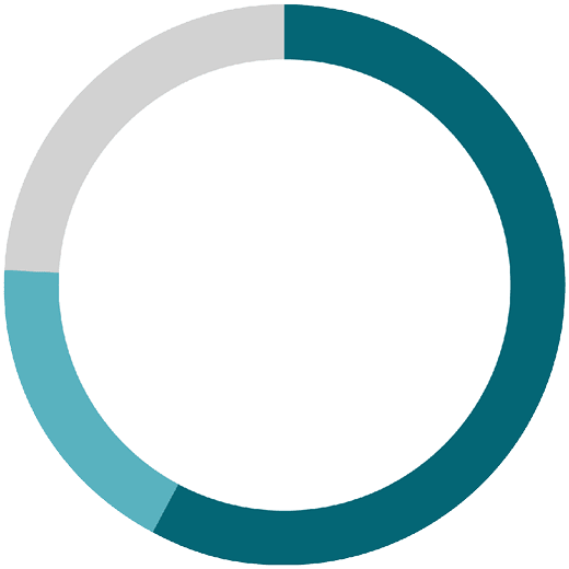 ring chart