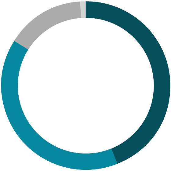 ring chart