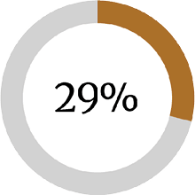 29 percent