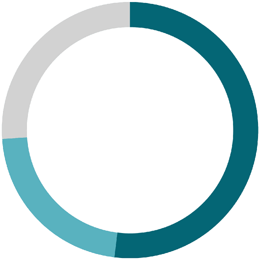 ring chart