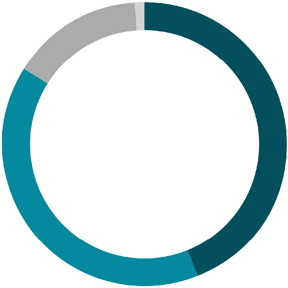 ring chart