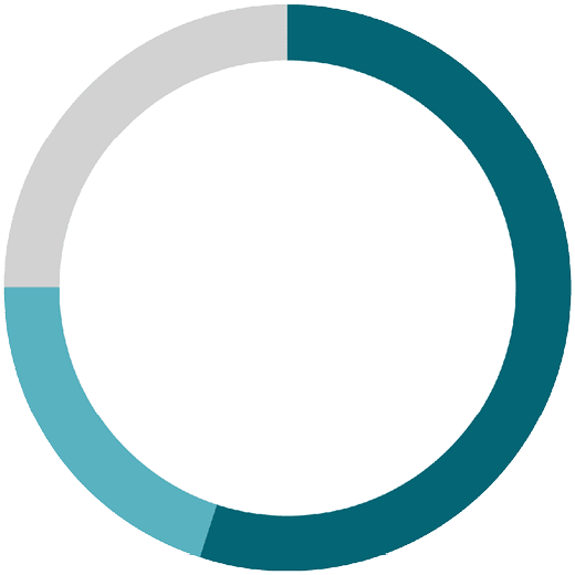 ring chart