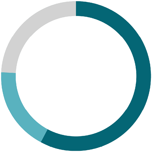 ring chart