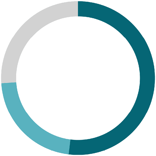 ring chart