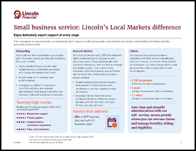 A brochure for Lincoln's local markets difference. AI generated content