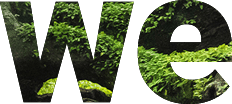 we