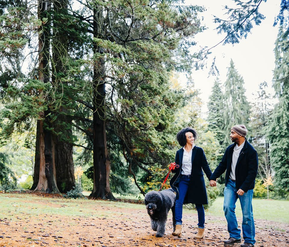 couple walking their dog