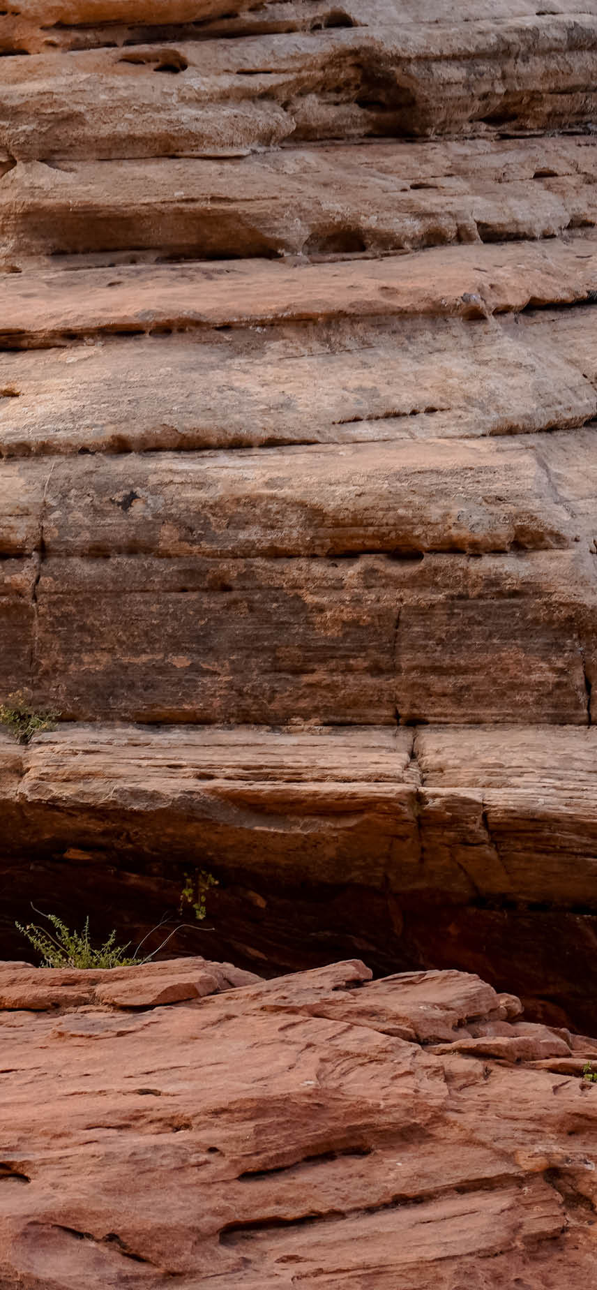 rocks