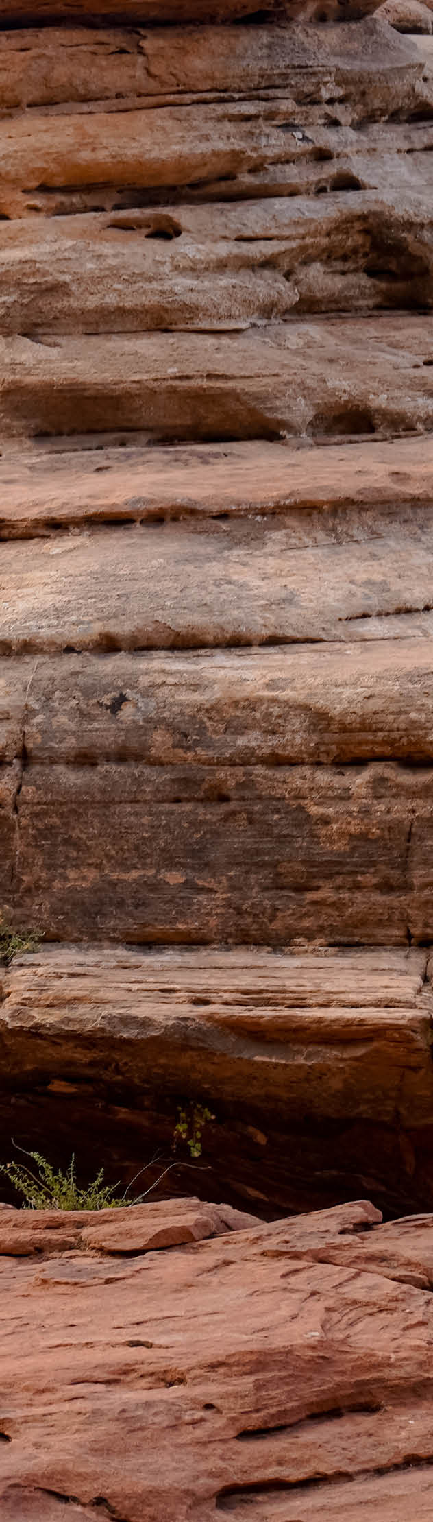 rocks