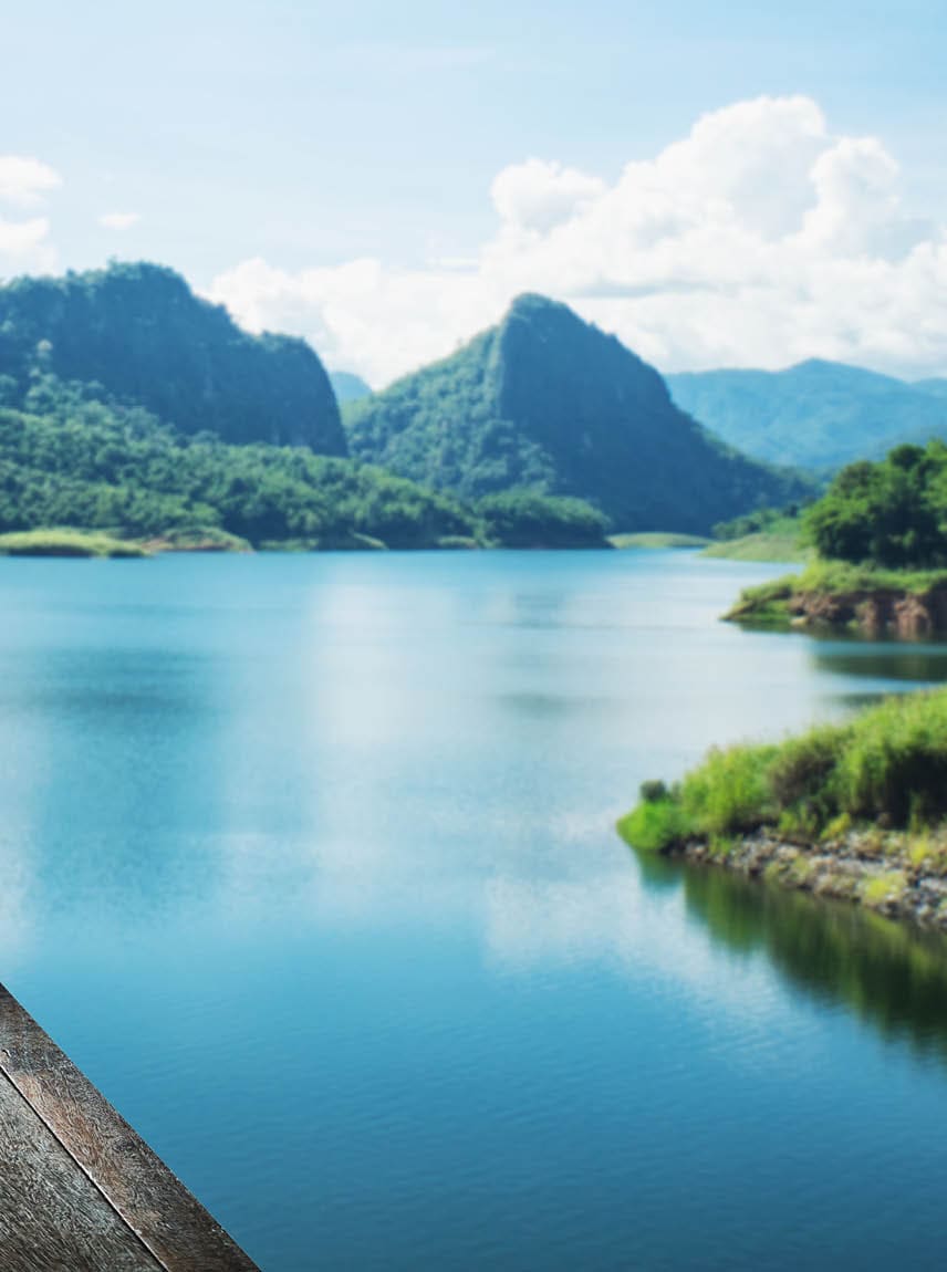 a woman stands with arm raised looking at mountains across water. a dog sits beside her.