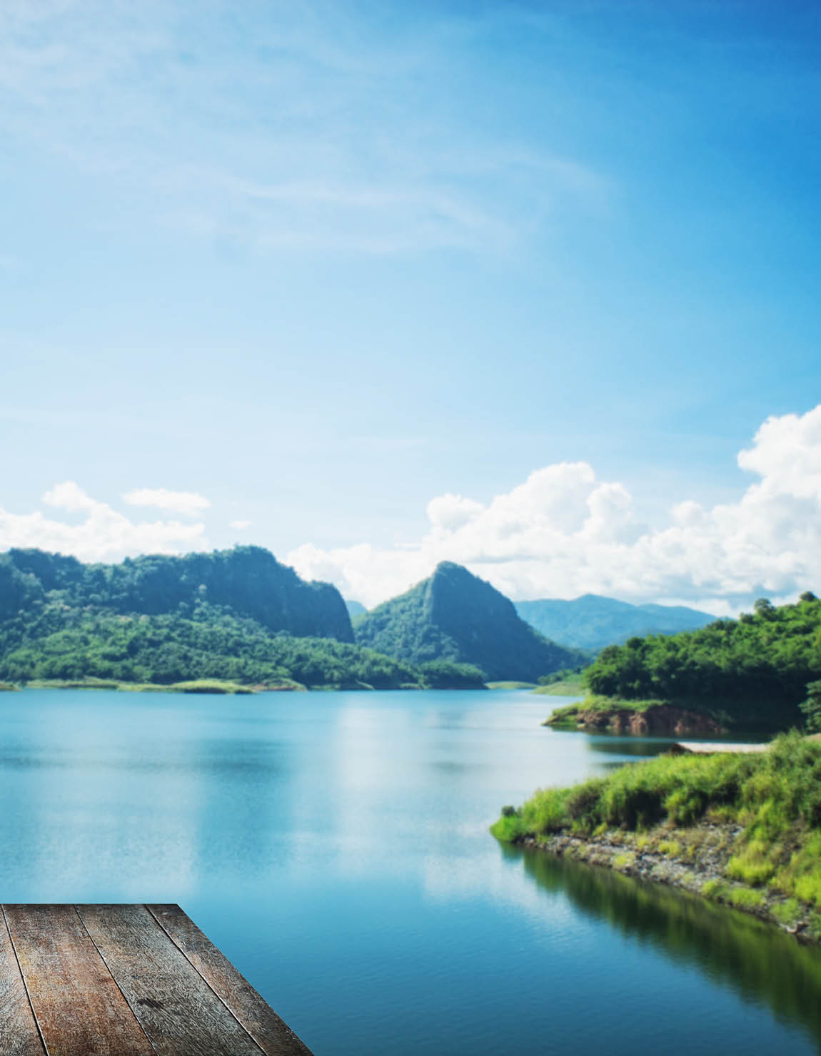 a woman stands with arm raised looking at mountains across water. a dog sits beside her.