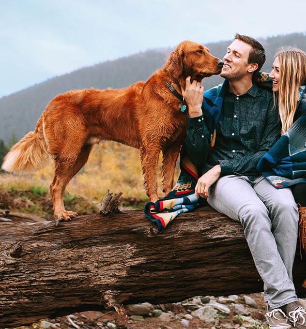 hiking couple with a dog sitting on a log in the mountains