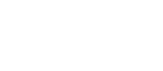Lincoln Financial Group logo