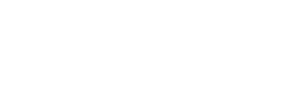 Lincoln Financial logo