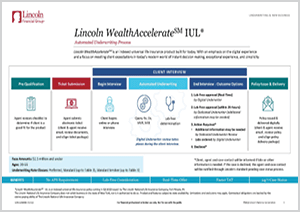 Process overview flyer