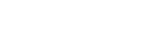 Lincoln Financial Logo