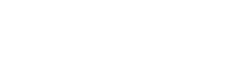 Lincoln Financial Logo