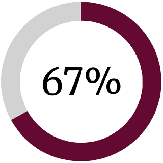 ring chart displaying 67 percent