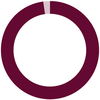 ring chart representing 98%