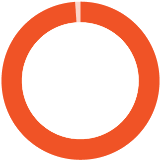 ring chart representing 99%