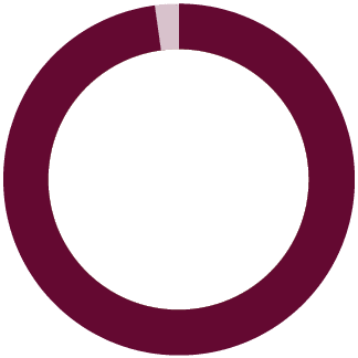 ring chart representing 98%