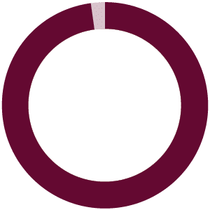 ring chart representing 98%