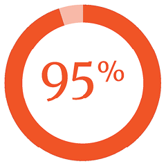 Ring chart displaying 95 percent