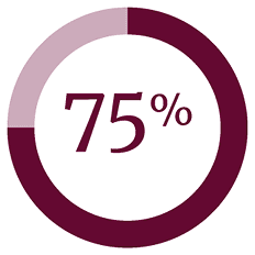 Ring chart displaying 75 percent