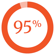 Ring chart displaying 95 percent