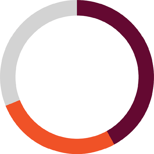 ring chart