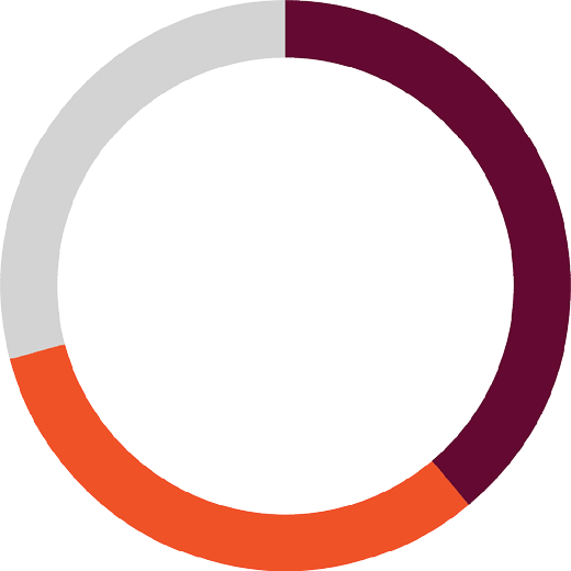 ring chart