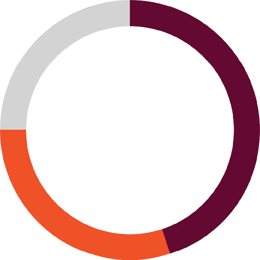 ring chart