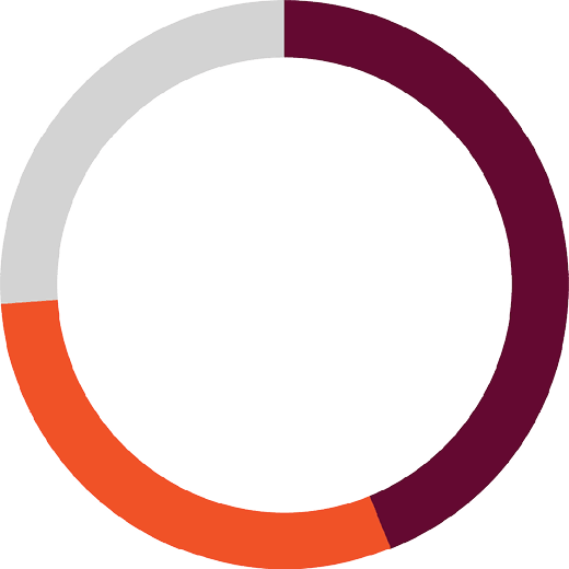 ring chart
