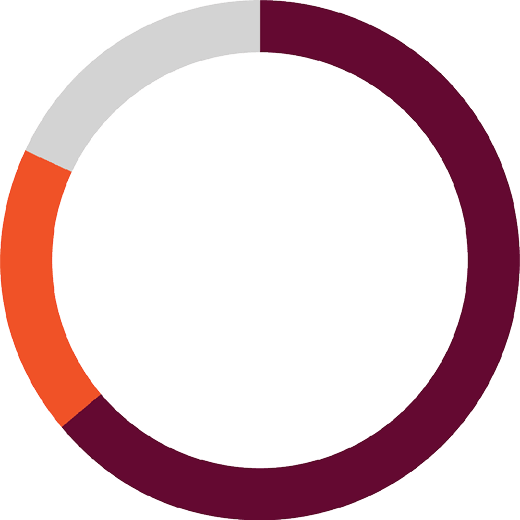 ring chart