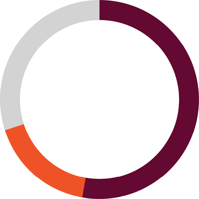 ring chart