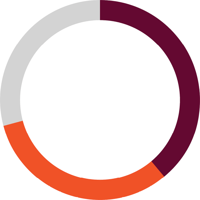 ring chart