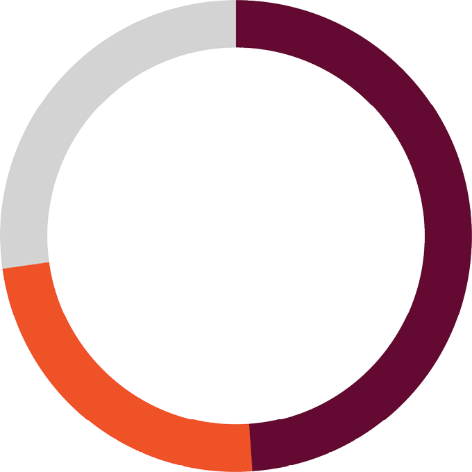 ring chart